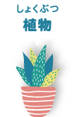植物